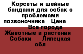 Корсеты и шейные бандажи для собак с проблемами позвоночника › Цена ­ 2 500 - Все города Животные и растения » Собаки   . Липецкая обл.